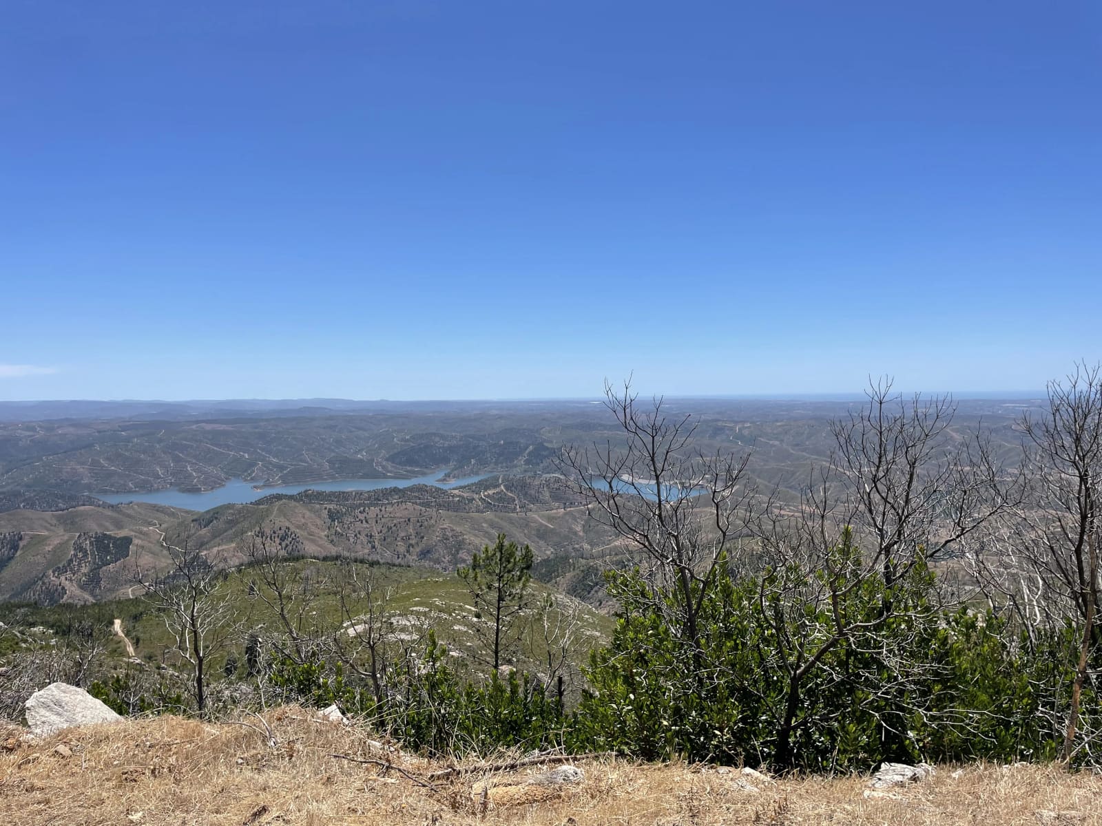 Foto image 002