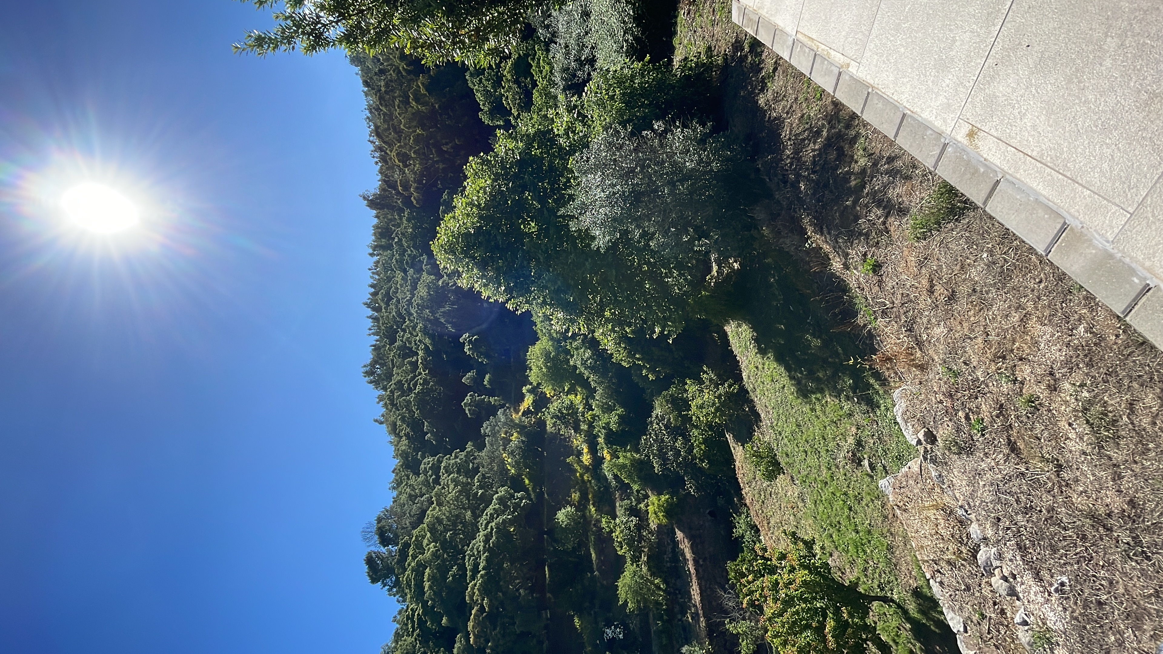 Foto CAD86DBD 5165 4608 B372 3167190A9864